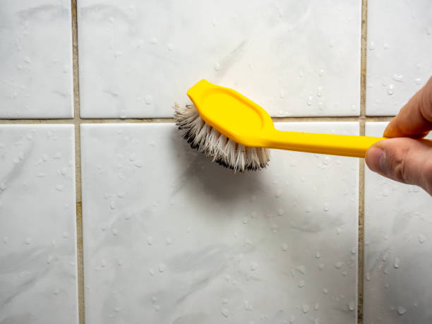 Best Certified Mold Removal  in Carlisle, KY