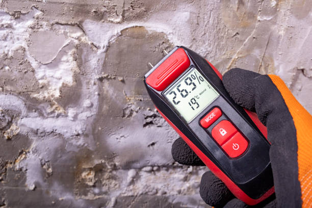 Best Commercial Mold Removal  in Carlisle, KY